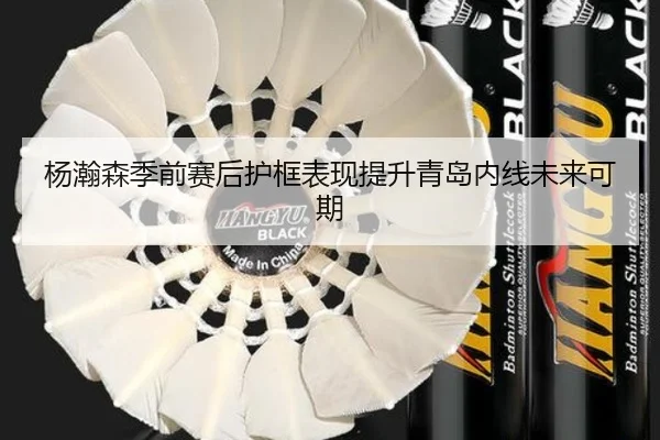 杨瀚森季前赛后护框表现提升青岛内线未来可期